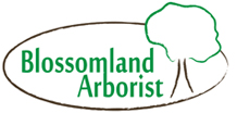 Blossomland Arborist 